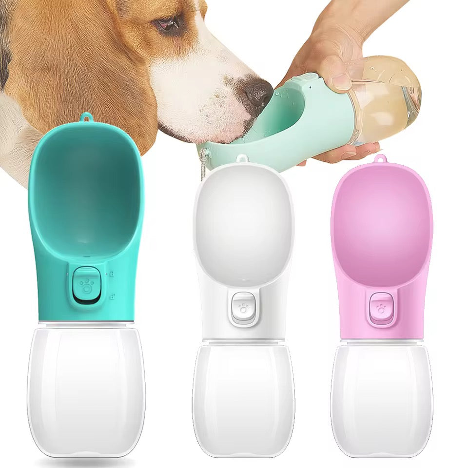 Portable dog water bottle for winter walks