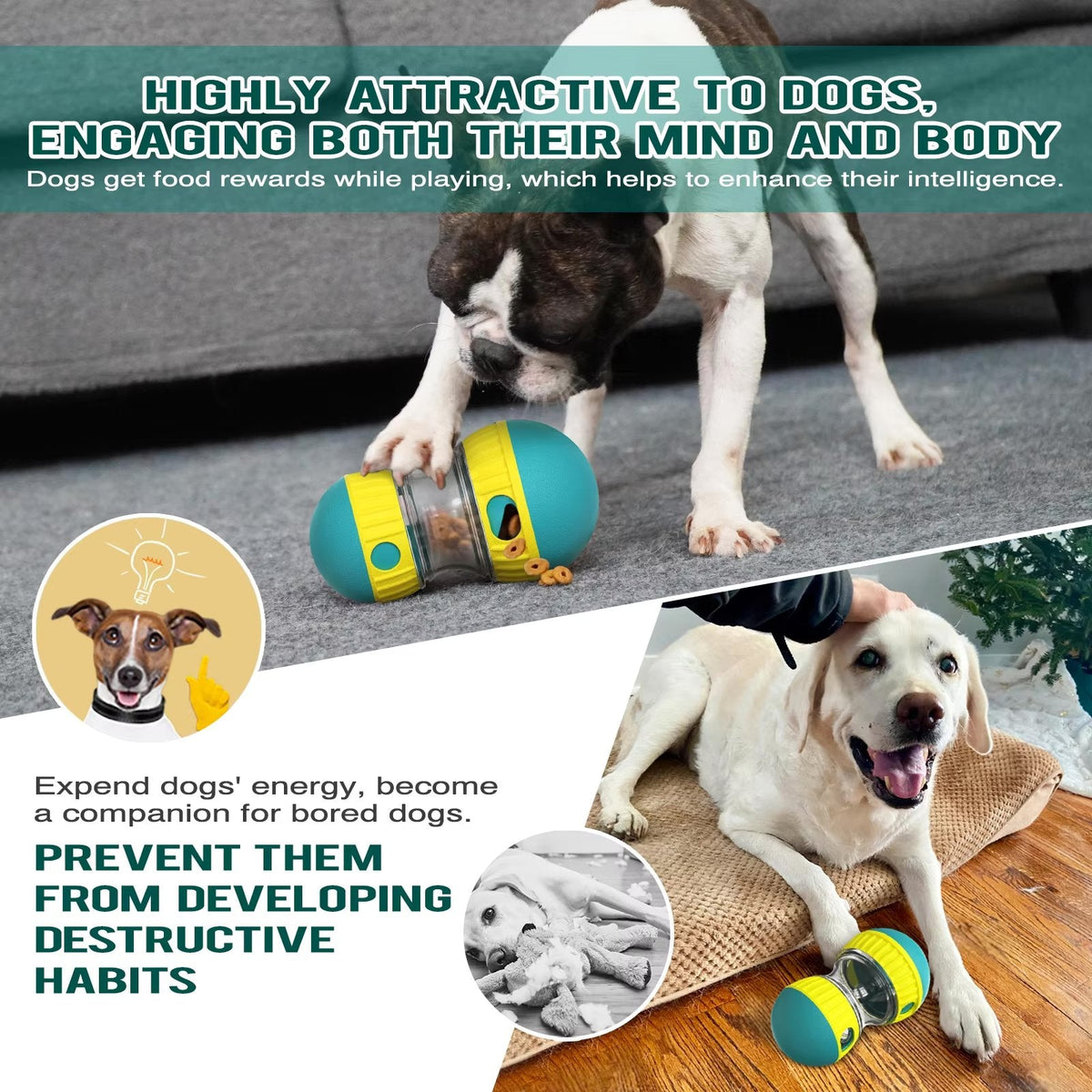 Oval slow feeder and treat dispenser toy for dogs and cats