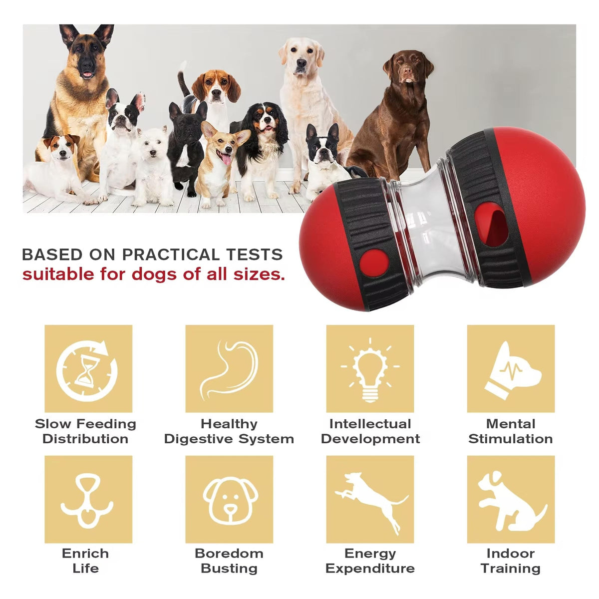 Oval slow feeder and treat dispenser toy for dogs and cats