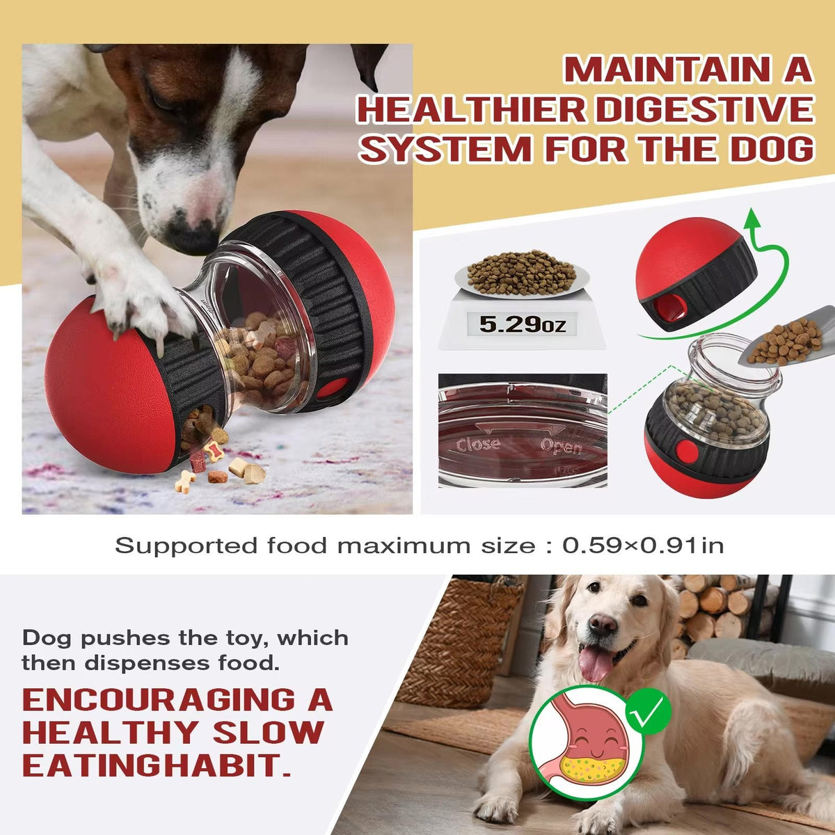 Oval slow feeder and treat dispenser toy for dogs and cats