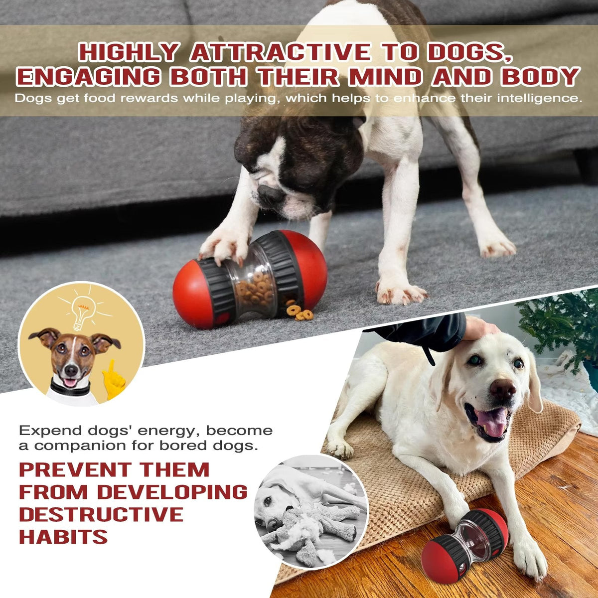 Oval slow feeder and treat dispenser toy for dogs and cats