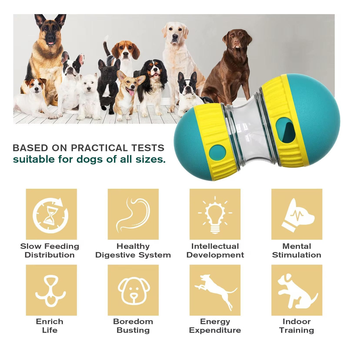 Oval slow feeder and treat dispenser toy for dogs and cats