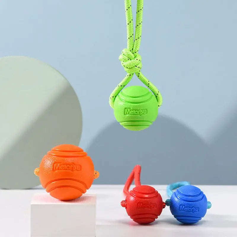 Treat and ball rope