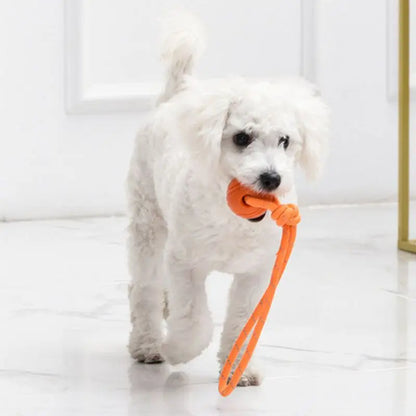 Treat and ball rope