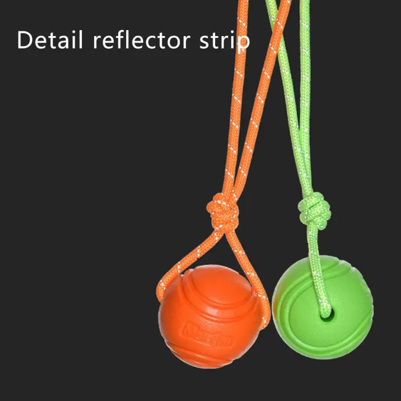 Treat and ball rope