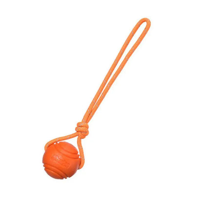 Treat and ball rope