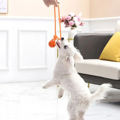 Treat and ball rope