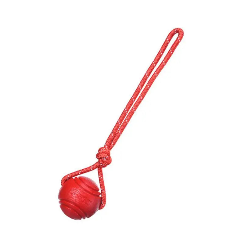 Treat and ball rope