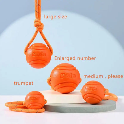 Treat and ball rope