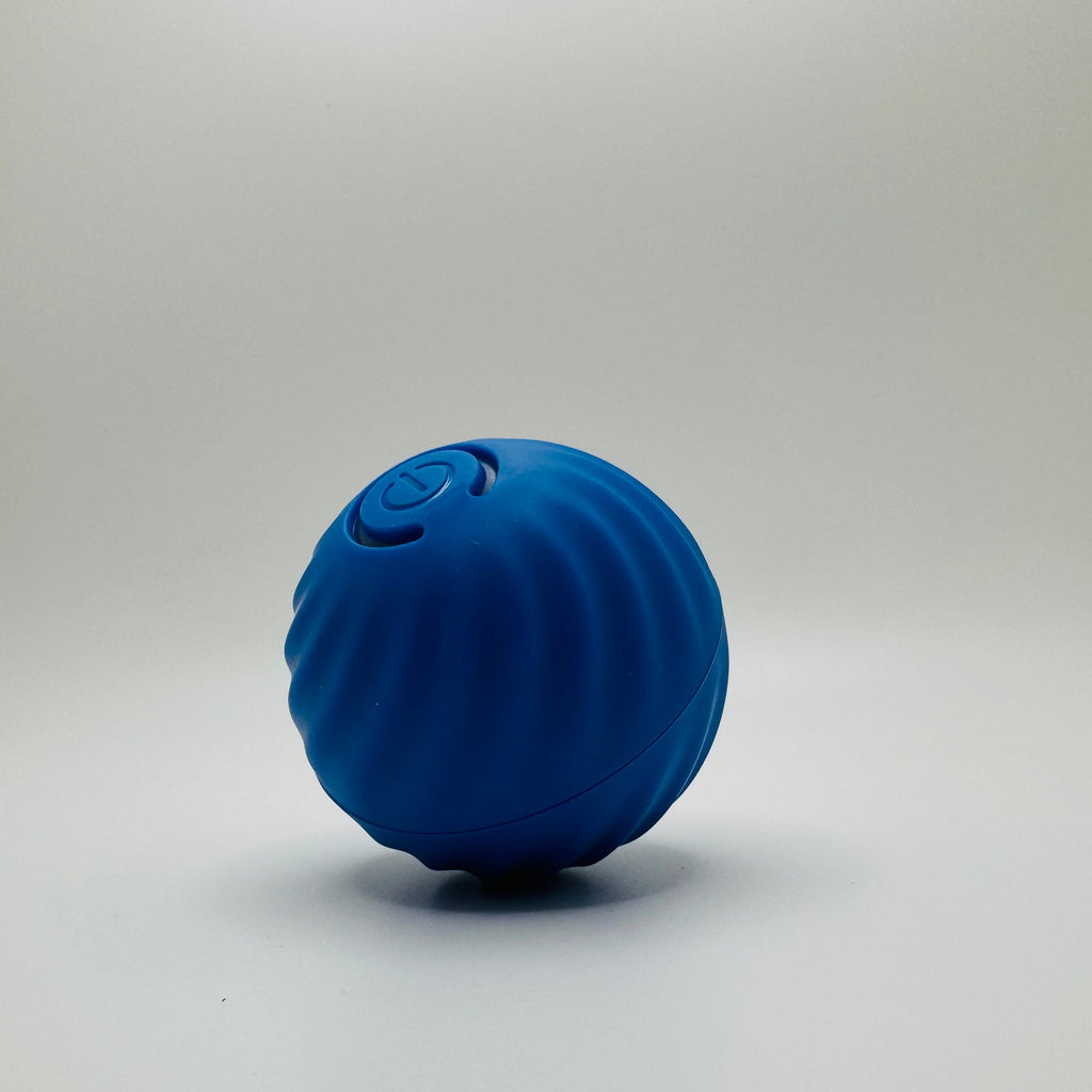 USB rechargeable bouncing ball toy for dogs and cats
