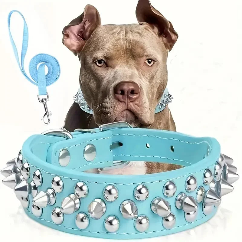 Spiked Dog Collar