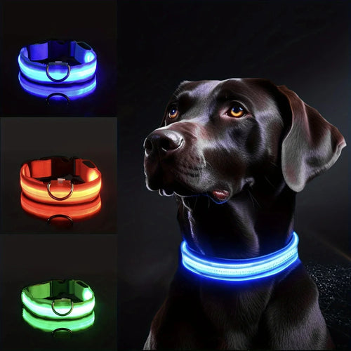 Glow in the dark collar