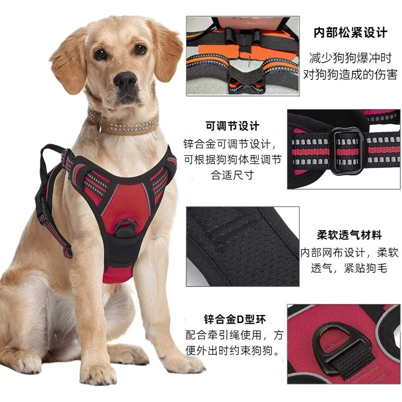 Dog Harness