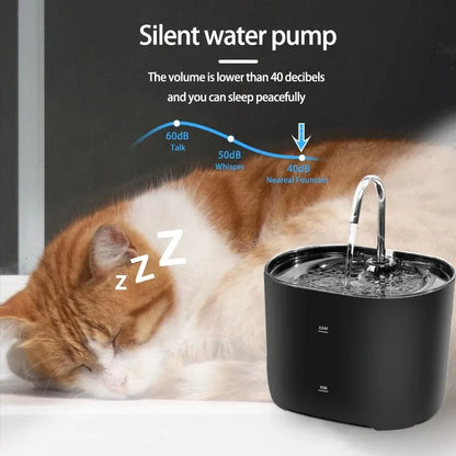 Cat Water Dispenser