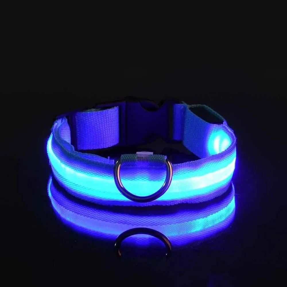 Glow in the dark collar