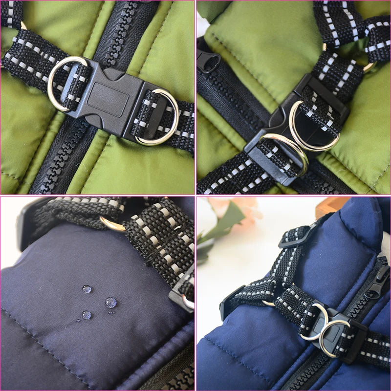 Winter dog harness