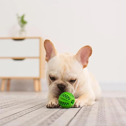 Treat ball puzzle