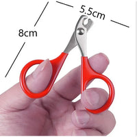 Only nail clipper