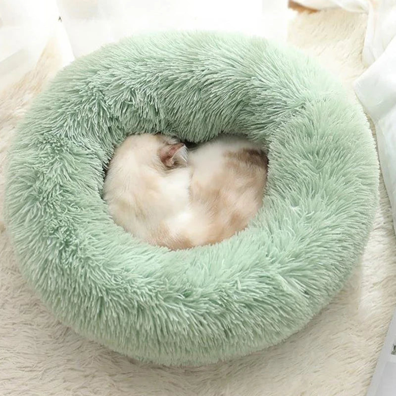 Cat bed ball