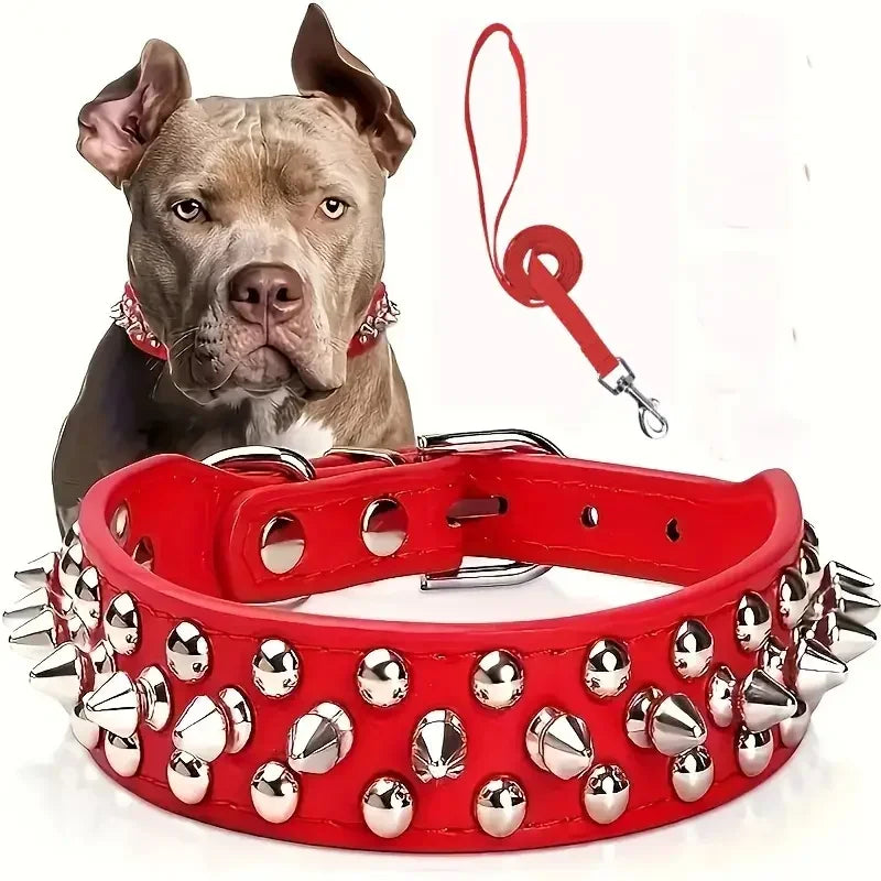 Spiked Dog Collar