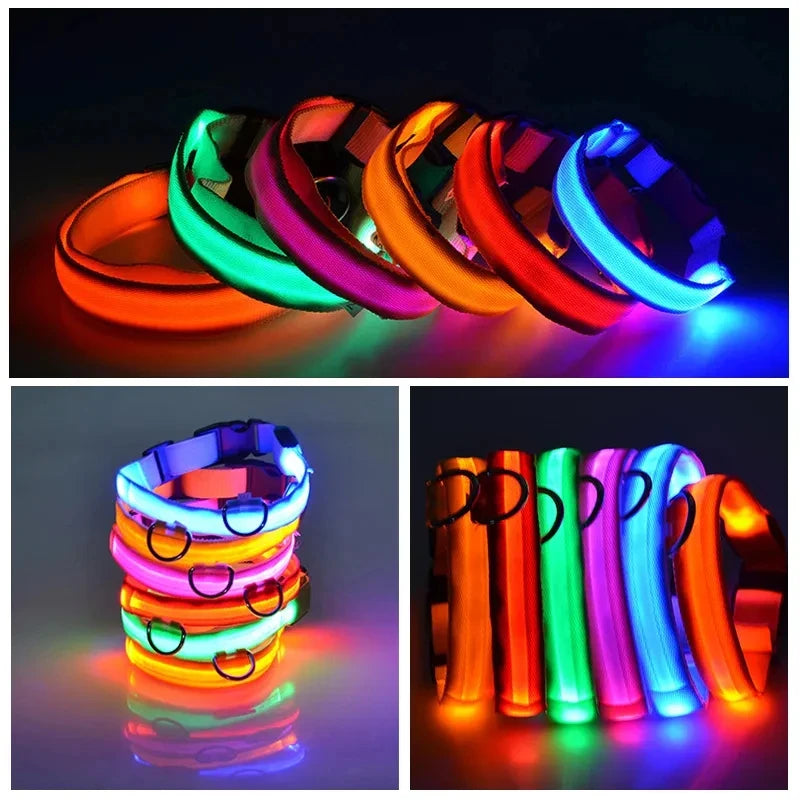 Glow in the dark collar