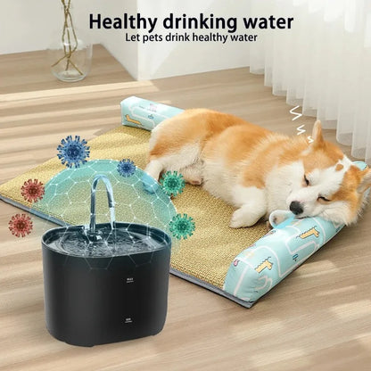 Cat Water Dispenser