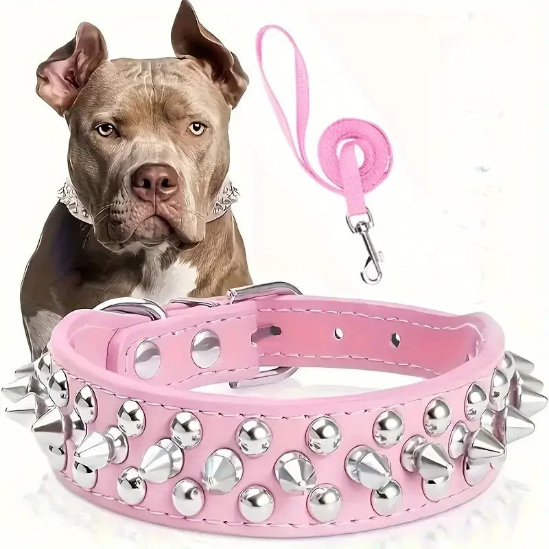 Spiked Dog Collar