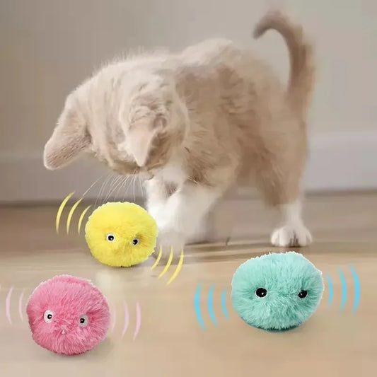 Interactive Ball Toy