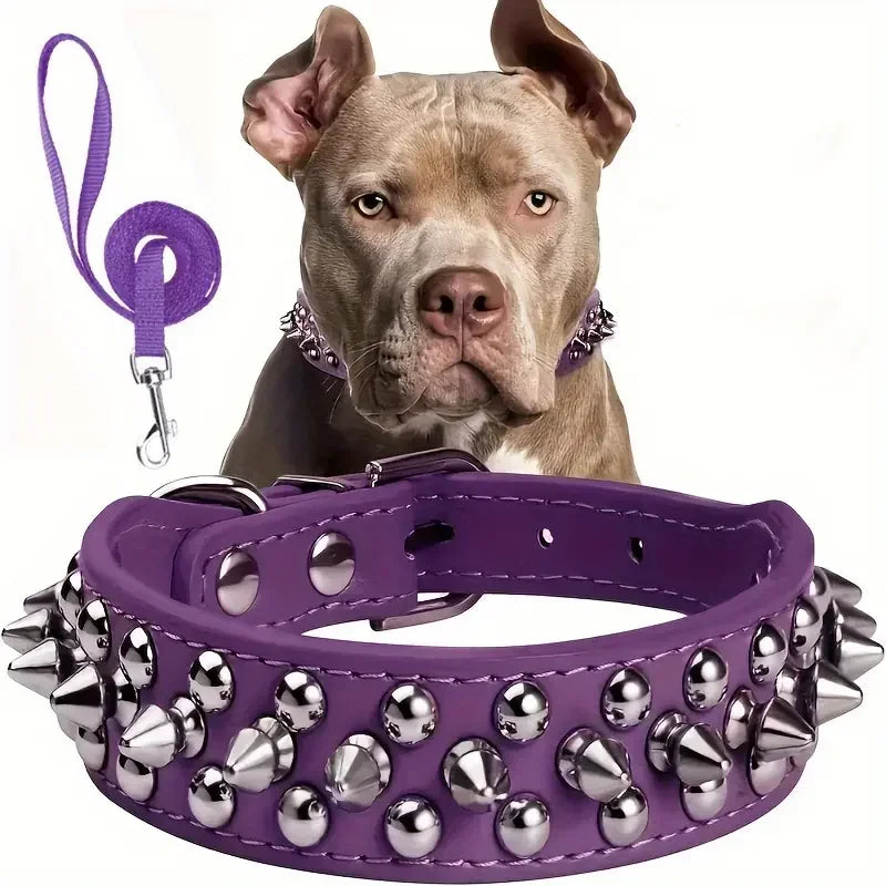 Spiked Dog Collar