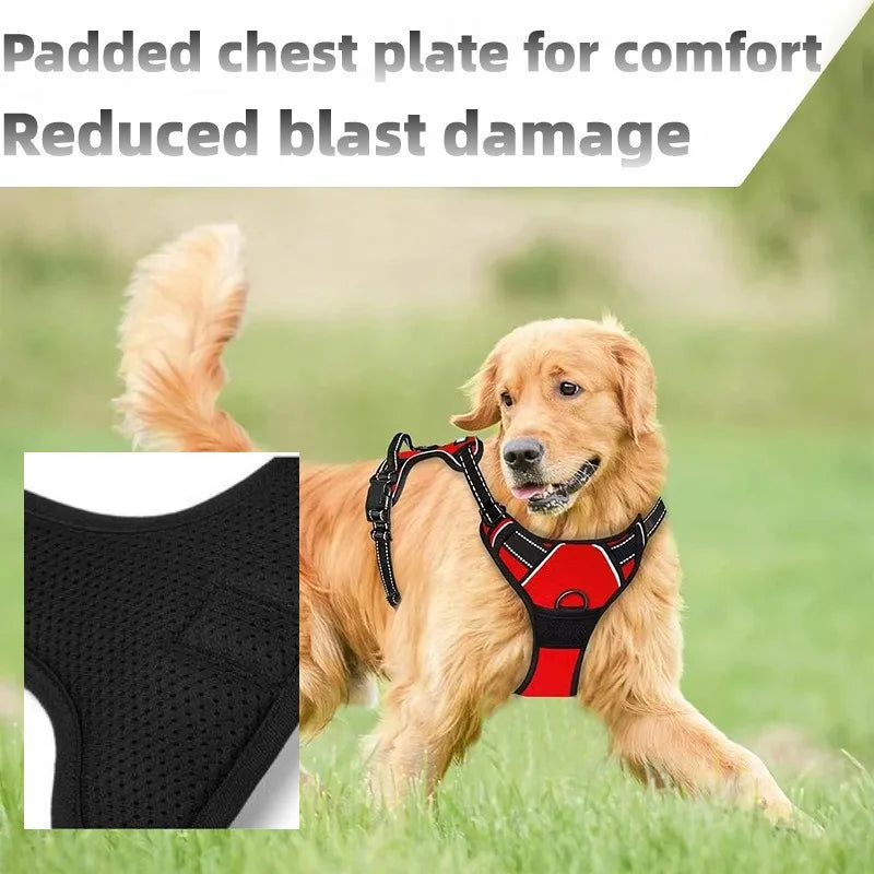 Dog Harness