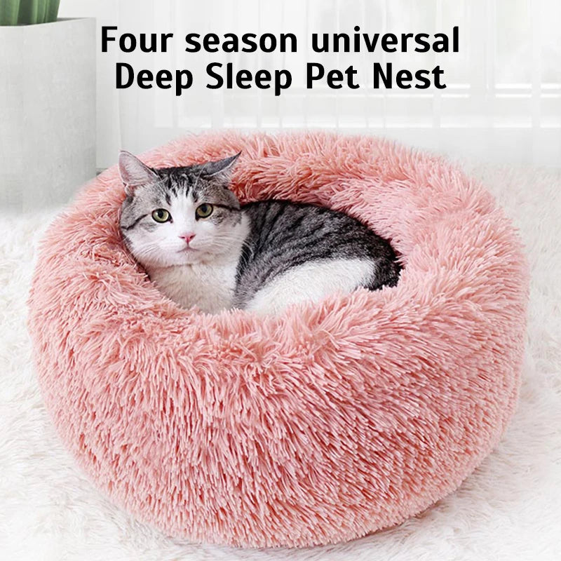 Cat bed ball