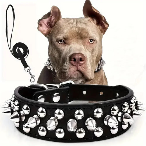 Spiked Dog Collar