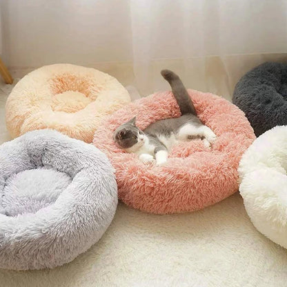 Cat bed ball